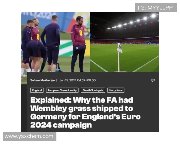 欧冠决赛场地问题引发热议温布利草坪质量遭球员一致吐槽