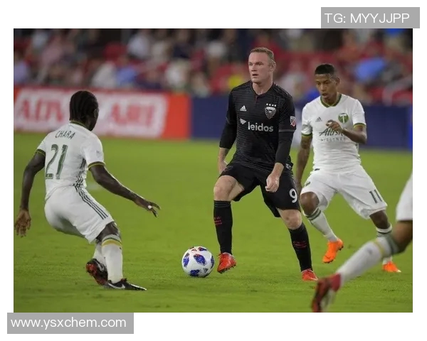 新英格兰与华盛顿足球直播对决精彩瞬间回顾与分析