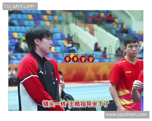 2015亚锦赛中国与伊朗激烈冲突背后的真相与影响分析 2015亚锦赛中国与伊朗激烈冲突背后的真相与影响分析