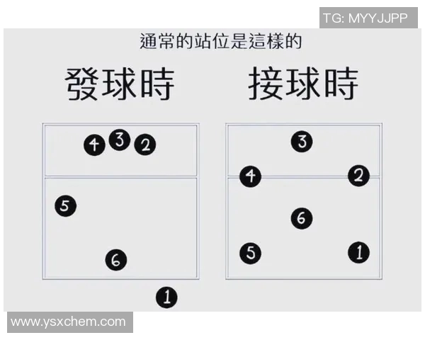 排球新手必看：从零开始的比赛经验与技巧全面指南