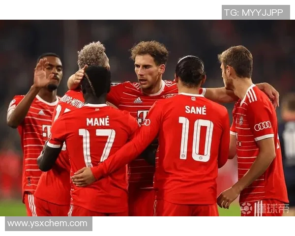 汉堡对阵拜仁慕尼黑八强争夺战精彩回顾与分析