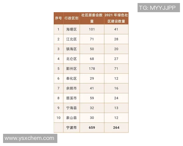 王少杰的奋斗历程与成就探索：从普通青年到行业领军人物的成长之路