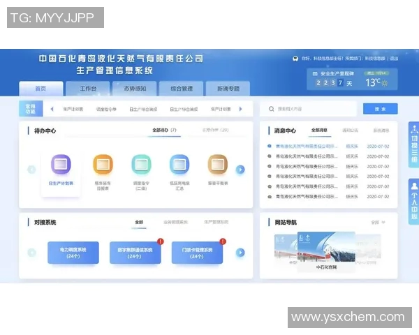 灵活性分析：液化天然气在市场中的表现与趋势探讨