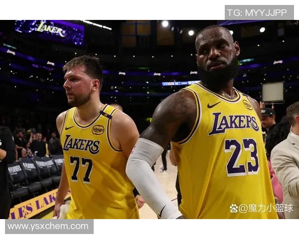 詹姆斯对阵森林狼的精彩数据分析与比赛回顾